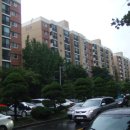 강남-252 이미지