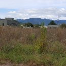 강남로(남) 이미지