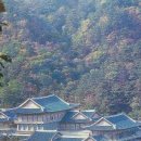 김일기념품