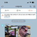 디테일러명충청지사
