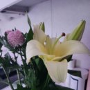 목동청소년회관 이미지