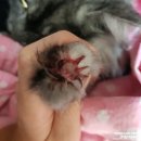 도담메디칼 이미지