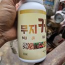 선태농장 이미지
