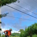 안청초등학교 이미지