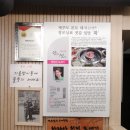 한라산도새기 이미지