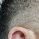 엘브이의원 이미지