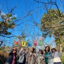 한창카써비스 | 제주 관광택시 이용해 편하게 즐긴 제주도 렌트카 기사포함 여행