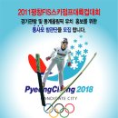 2011평창FIS스키점프대륙컵 대회에서 "Yes 평창을" 이미지