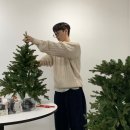 호아이보