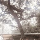 감투봉리조트 이미지