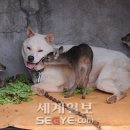 음 이미지