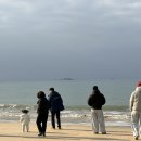 대천 | 부모님·조카와 간 대천 펜션 현실 후기_좋았던 점 vs 아쉬운 점