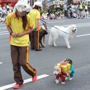 해피댕댕이 이미지