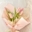 미래블라썸 이미지