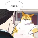 카이든 네이버블로그