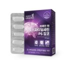 와이즈브레인 이미지
