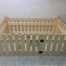 네모강아지 이미지