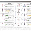리맥스피트니스 이미지