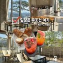 햇살가게 | 원주 소초면 카페 피네(PINE) : 초록 뷰가 매력적인 햇살 맛집 내돈내산 후기