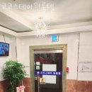 스테이 코코 이미지
