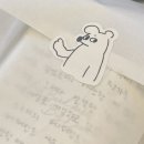 어피스어피스 이미지