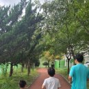 용산생활체육공원 이미지