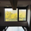 더케이호텔앤리조트(주) 더케이호텔서울 | 서울/북한산_Anto 안토 호텔앤리조트 (구, 파라스파라) 대형 히노키탕 룸! 주말1박2일 , 숲뷰🌳가 답이다!!