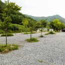 월드니스 이미지