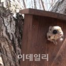 둥지종합관리 이데일리