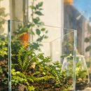 테라리움 이미지