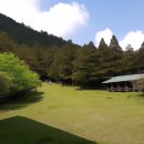 도림사오토갬핑리조트 이미지