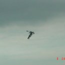 웅이아부지 이미지