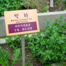 광양사랑병원 네이버블로그