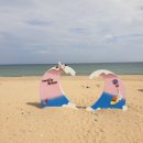 교촌투고 화진점 | [포항 화진 해수욕장 맛집] - 바다 보며 피크닉 하기 좋은 '교촌치킨 투고 화진점'