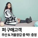 미센스대전