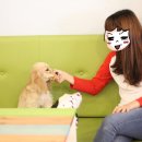 카페레몬트리