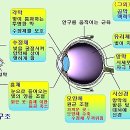 이강한의원 이미지