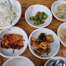 백두봉삼계탕 | 길건너 맛집몬 23집 (마산 백두봉 삼계탕)