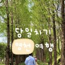 세븐일레븐 영천창신대로점 | [영천 여행] 영천 여행 맛집, 영천 여행 코스 추천, 영천 맛집 추천