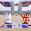 베트남쌀국수포메인 이미지
