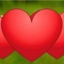 아침을 여는 음악 6월 3일(월) 이미지