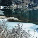 버드나무약국 이미지