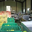 유장농장 이미지