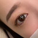 메종뷰티 속눈썹펌&눈썹 이미지