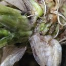 강무농장 이미지