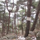 산막이옛길 주차장 이미지