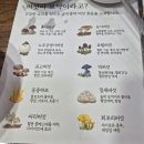 궁안골 네이버블로그