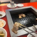 홍지 이미지