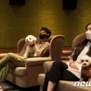 퍼피베이비 이미지