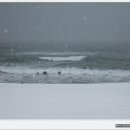 강문바다 이미지